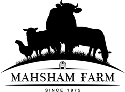 Layer 27